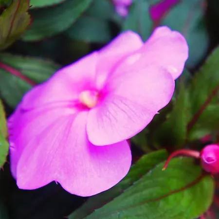 Casa Da Igreja By Casas Geres