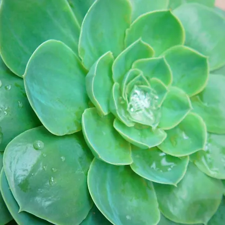 Casa Da Igreja By Casas Feriehus *