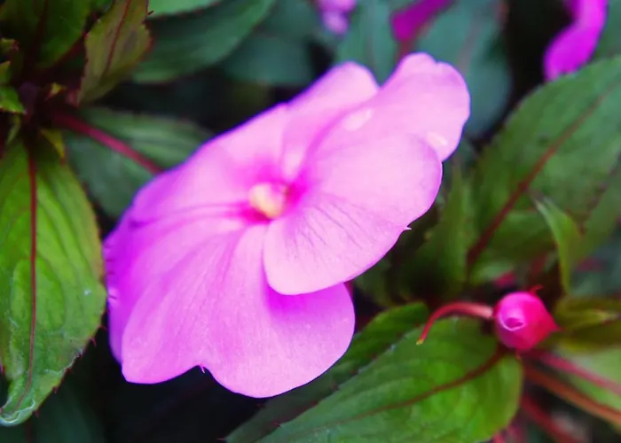 Casa Da Igreja By Casas Geres