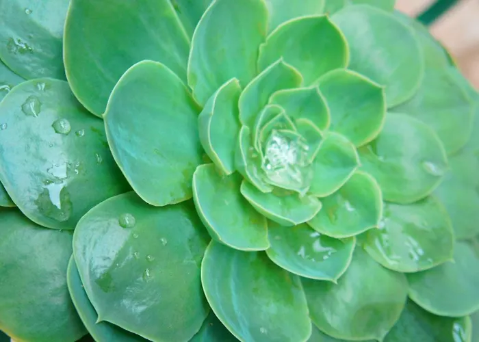 Casa Da Igreja By Casas 펜션 *